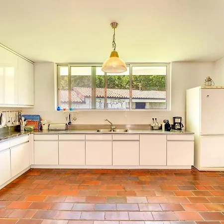 Portugal Active Oliveiras Farm Gasthuis Viana do Castelo