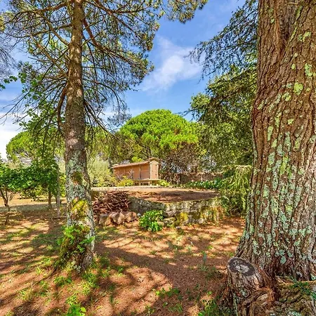 Πανσιόν Portugal Active Oliveiras Farm Βιάνα ντο Καστέλο