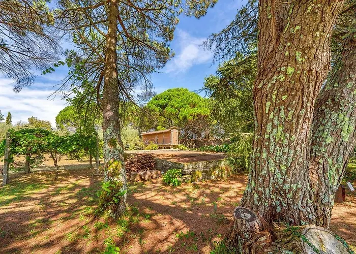 بيت ضيافة Portugal Active Oliveiras Farm فيانا دو كاستيلو